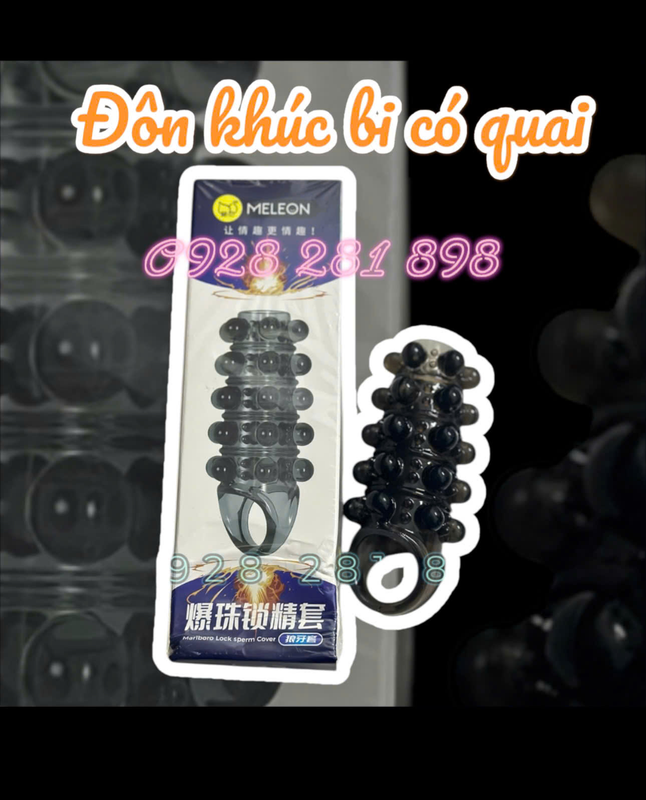 Bao Đôn Thân Bi Quai Meleon