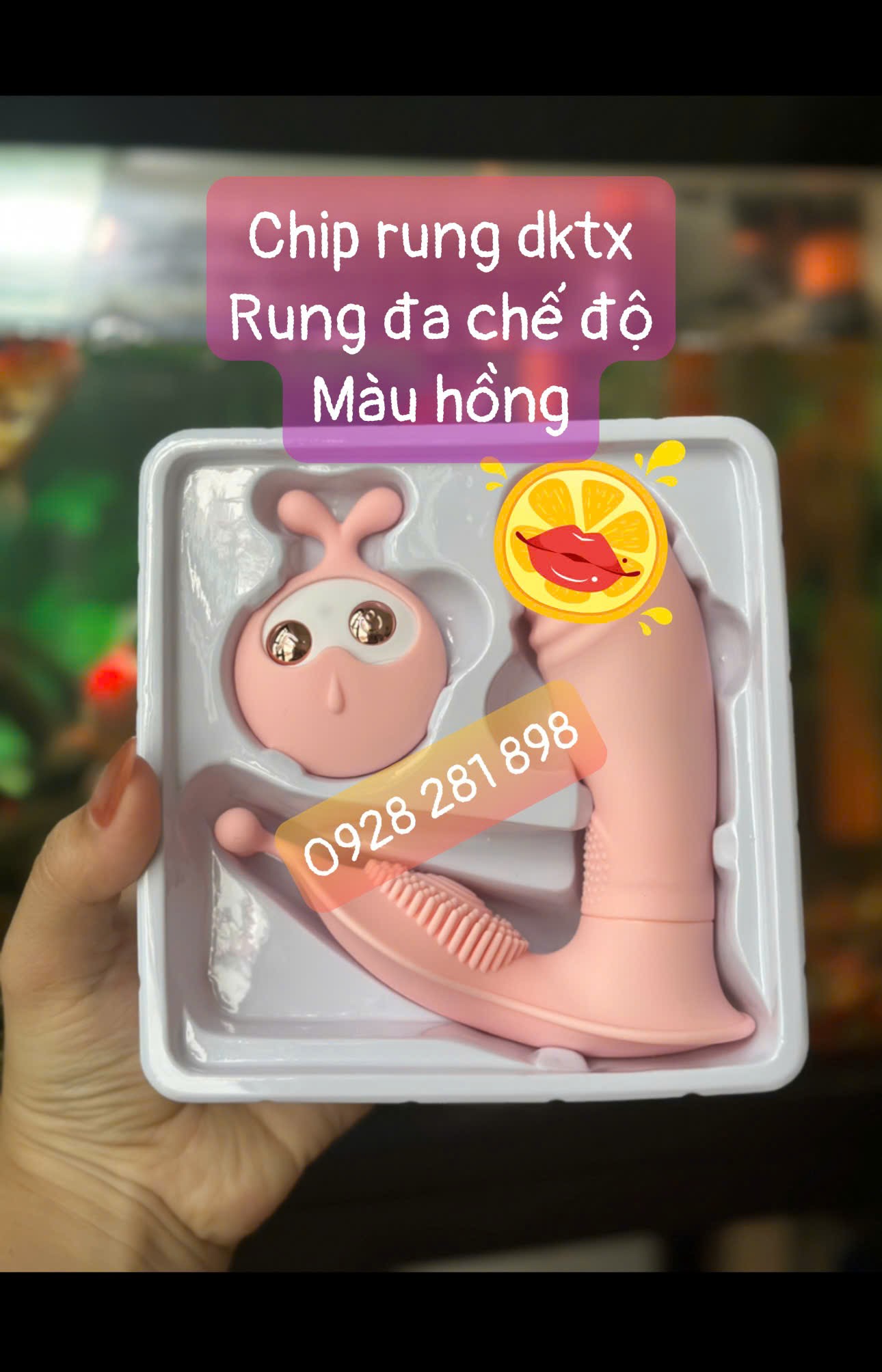 CHIP RUNG HÌNH DƯƠNG VẬT LILO